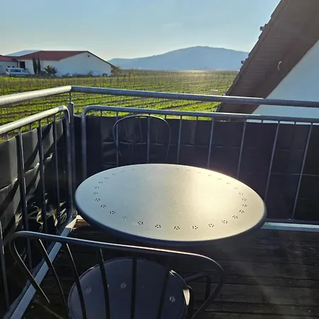 Panoramablick Apartment *